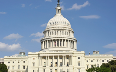 Debt Management for A Financial Crisis Period